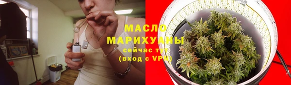 ешки Гусь-Хрустальный