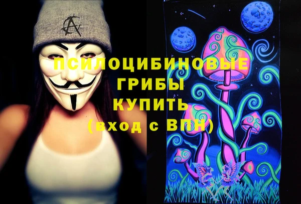 мескалин Гусиноозёрск