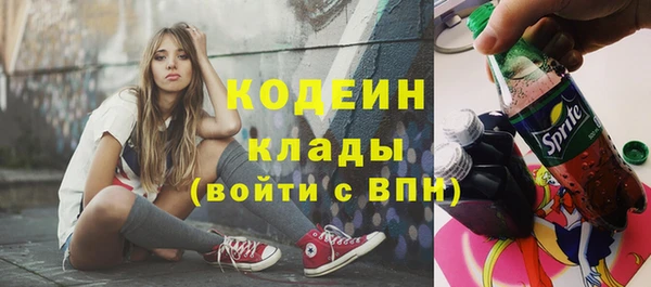 ешки Гусь-Хрустальный
