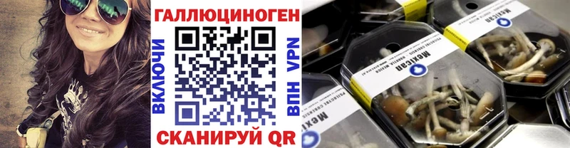 Купить  Пучеж  Галлюциногенные грибы мицелий 